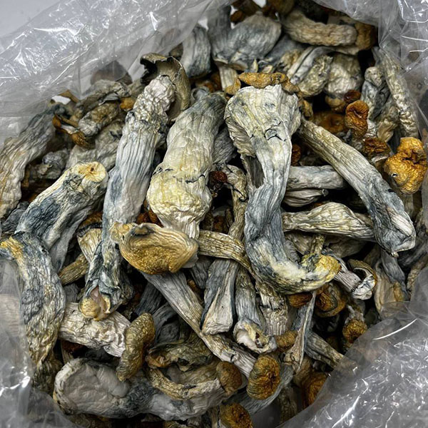 Hillbillies Shrooms - Image 2