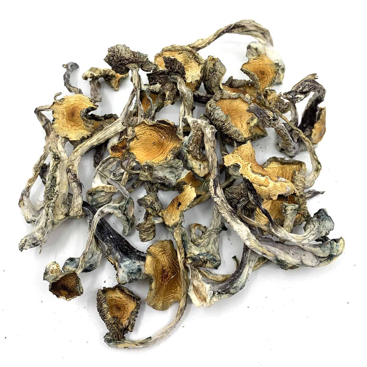 Hillbillies Shrooms - Image 3